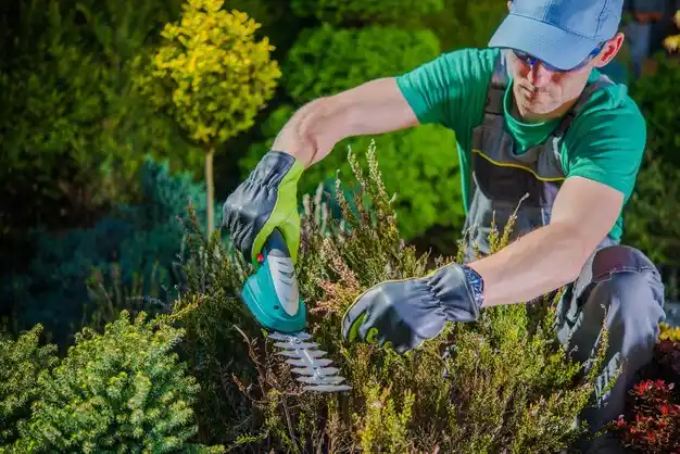 landscaping services South Zanesville